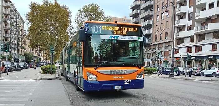 autobus 101