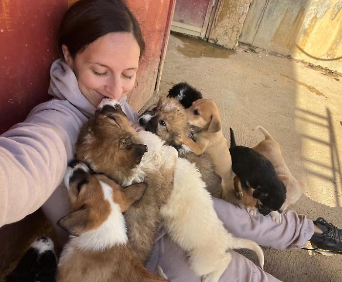 Oasi Ohana sfida la Regione: "Non diventeremo un lager di cemento. Pronti a tutto per i nostri cani"