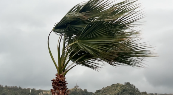 Allerta meteo arancione a Messina: chiuse ville e cimiteri e stop agli eventi all&rsquo;aperto. Scuole aperte