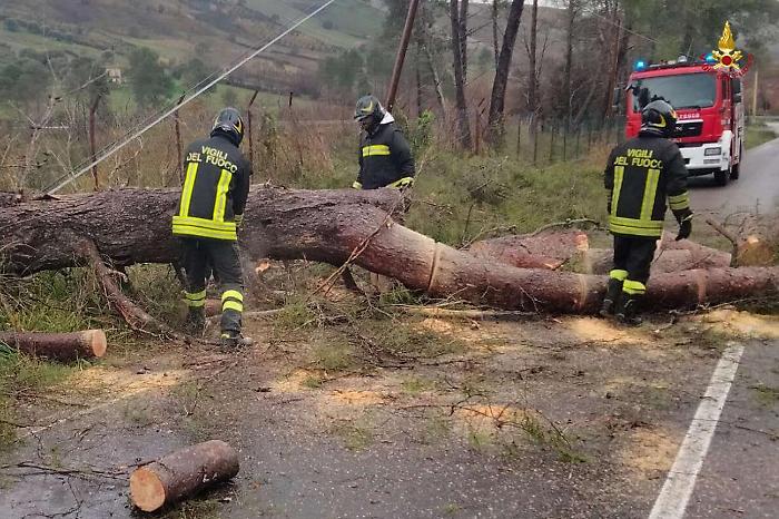 Maltempo, la Sicilia conta i danni del vento: quasi 650 interventi dei Vigili del Fuoco in 48 ore