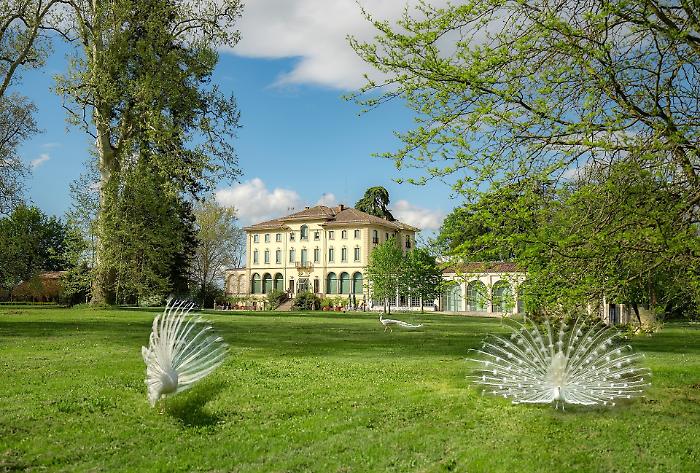 &ldquo;Tre minuti per sparire&rdquo;: il colpo alla Villa dei Capolavori. Rubati Renoir, C&eacute;zanne e Matisse alla Fondazione Magnani-Rocca