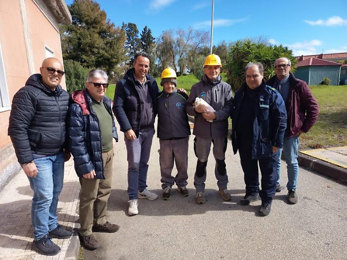 Gabbiano ferito finisce nel depuratore di Giardini Naxos, salvato da un addetto e portato al centro faunistico