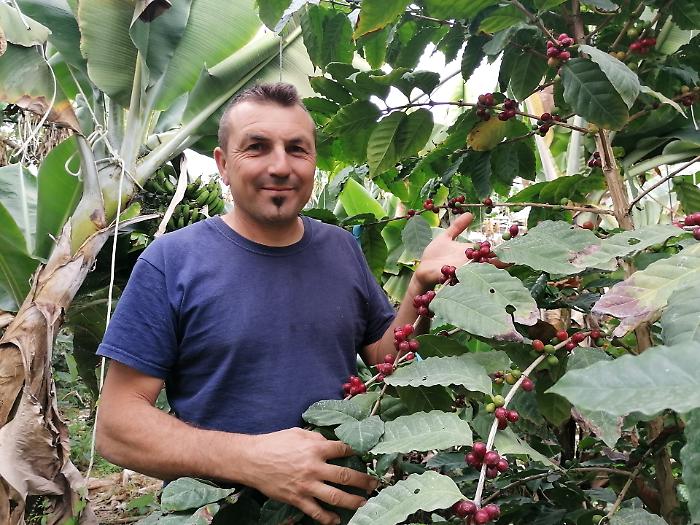 Tutti mi dicevano che ero pazzo a piantare il caff&egrave; in Sicilia; oggi &egrave; una realrt&agrave; 