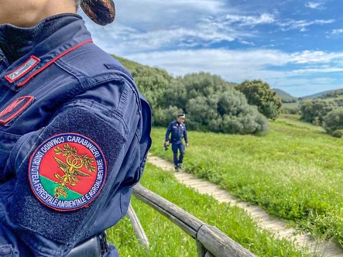 A Palermo sequestrati 160 chili di stigghiola e multe per 18000 euro