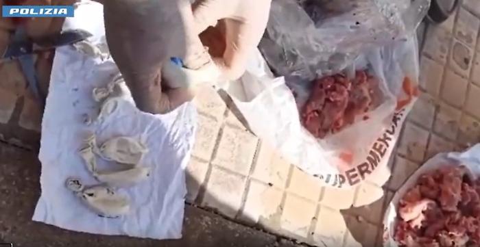 Cos&igrave; la droga entrava in carcere: nascosta nella salsiccia e nei calamari