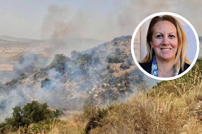 Sicilia in fiamme, l'assessore Giusi Savarino accusa: &laquo;Il novantotto per cento degli incendi &egrave; doloso&raquo; 