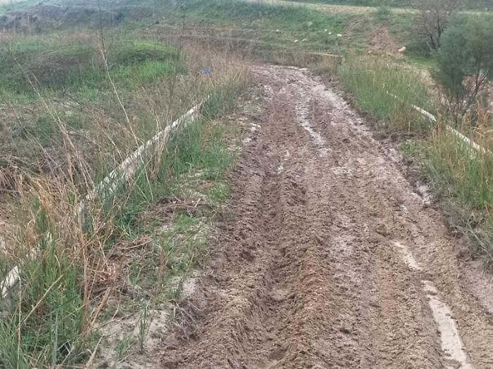 «Strade piene di fango: non possiamo raggiungere le nostre aziende agricole»
