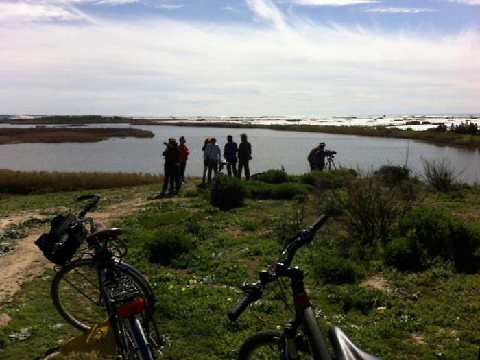 Gela, l'emergenza al Biviere: il lago si va prosciugando, servono interventi urgenti