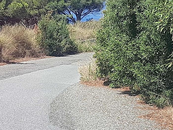 Strada Massa-Castanea, da un mese si chiede la bonifica